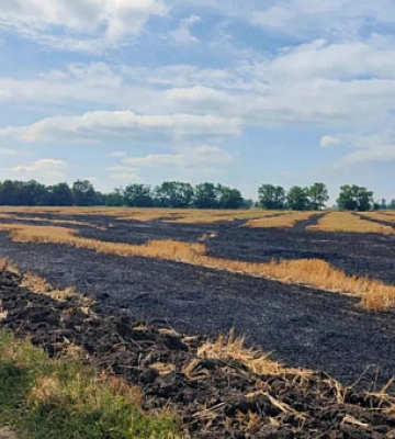 У Криворізькому районі горіли сільгоспугіддя
