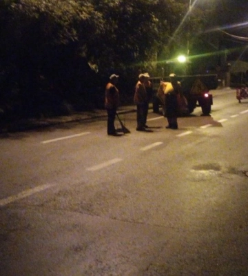 У центрі Києва впавше дерево розчавило автівку (ФОТО)