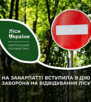 На Закарпатті вступила в дію заборона на відвідування лісу