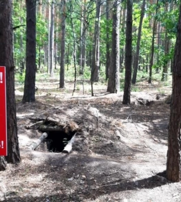 Сказали, які ліси на Рівненщині заміновані