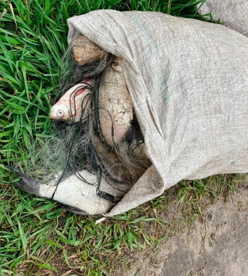На Харківщині браконьєр сітками наловив 22 кг риби: йому вручили підозру