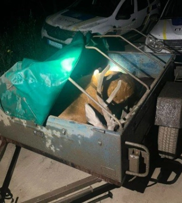 На Полтавщині поліція переслідувала браконьєрів з убитим оленем