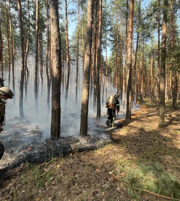 Ліс і трава горіли на Куп’янщині та Чугуївщині через обстріли 