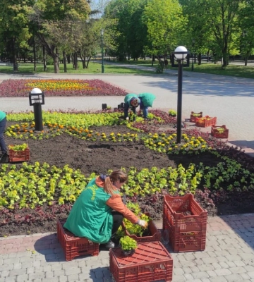 Висадка квітів та прибирання вулиць. Харківська міськрада скасувала два тендери на 63 мільйони гривень