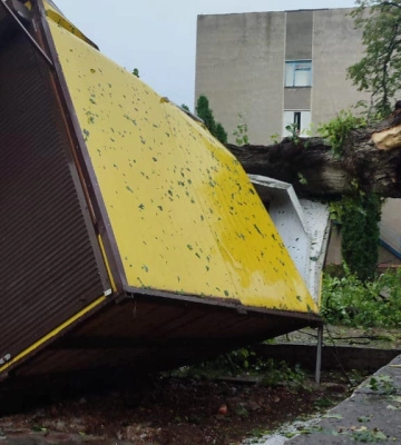 Падали дерева, «злітали» дахи: на Тернопільщини злива та град наробили лиха. Відео