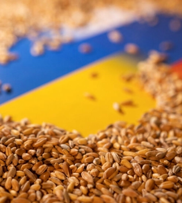 Кубраков сообщил, сколько Россия уничтожила за 9 дней атак на порты Украины