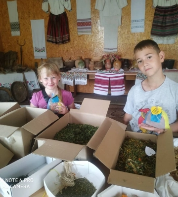 На Рівненщині придумали, як робити корисні фіточаї для військових