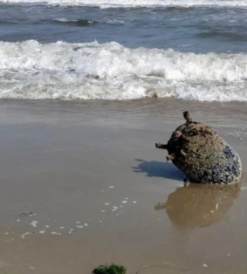 На пляж Одещини під час шторму винесло морську міну
