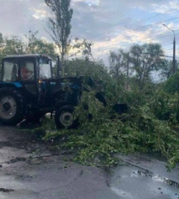 Нічна негода у Запоріжжі: повалені дерева, обірвані електричні дроти. ФОТОрепортаж