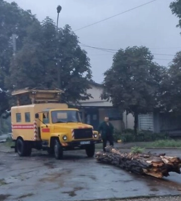 В Запорожье городские службы ликвидируют последствия ночной непогоды 