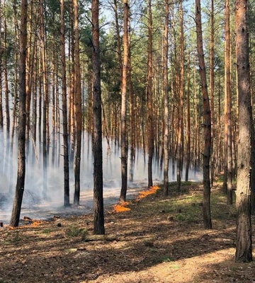 Доба війни на Харківщині: під час нічного обстрілу поранені літні люди