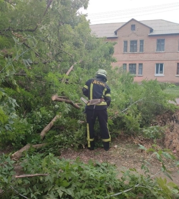 На Кіровоградщині рятувальники прибирали повалені дерева (ФОТО)