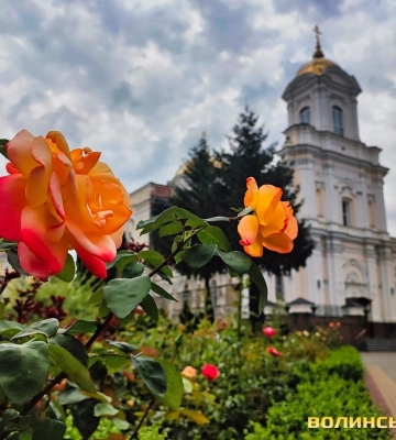 «Доки вони є – Маріуполь житиме»: квітучі троянди у дворі луцького храму вражають красою. Фото