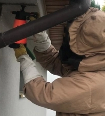 На Волині рятувальники ліквідували три гнізда небезпечних комах 