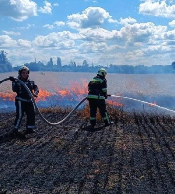 На Київщині горіло поле з пшеницею (ФОТО)