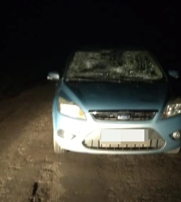 Біля Луцька п&amp;#039;яний водій збив двох пішоходів: як його покарали