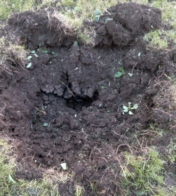 Вночі та вранці ворогом було здійснено 5 обстрілів Сумщини