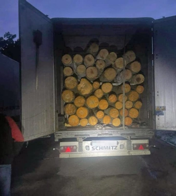 На Рівненщині поліцейські продовжують викривати злочини проти довкілля