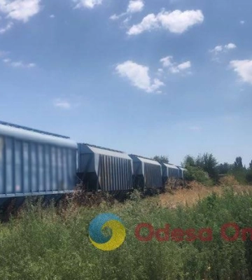 Тысяча тонн пеллет: в Одесской области арестовали 19 вагонов с российской продукцией