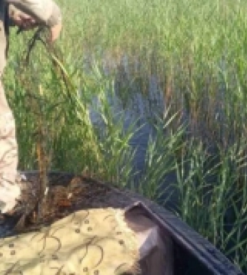 Із озер Шацького краю на Волині витягли десять рибальських сіток природоохоронці