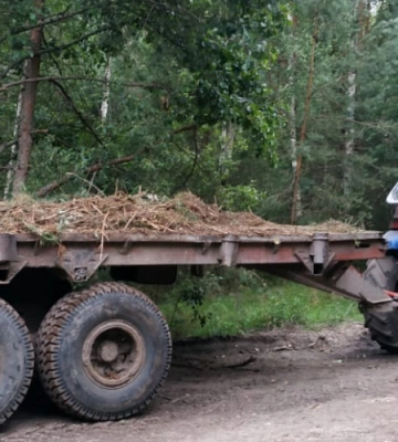 На кордоні з Білоруссю за останній тиждень ЗСУ зруйнували 5 доріг: що сталося?
