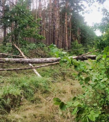 На Київщині уламки дронів пошкодили житловий будинок і магазин