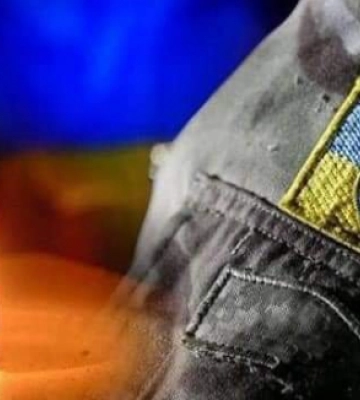 В громаді на Волині з’явився електричний пастух