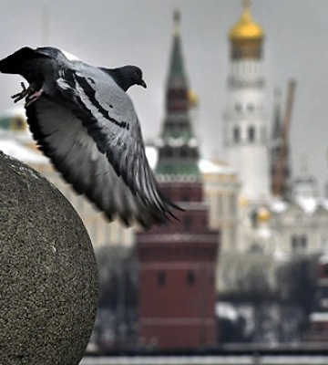 Москва не визнає невдач на війні, щоб не викликати паніку всередині країни – ISW