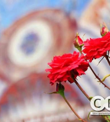 Прогноз погоди на Кіровоградщині на 4 серпня