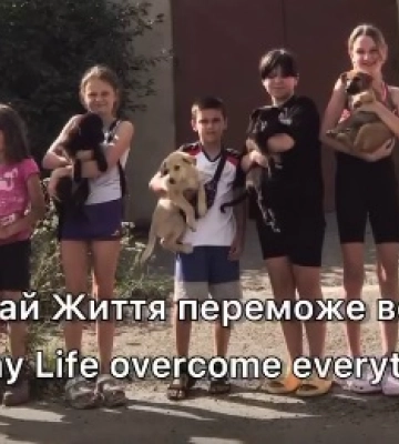 У Харкові собака з цуценям дві доби просиділи в колекторі: врятували діти