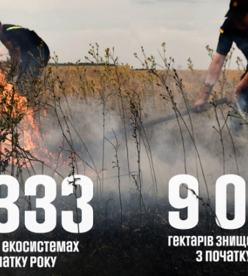 Попереду спекотні вихідні: ДСНС попереджає про небезпеку пожеж в екосистемах