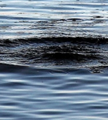 На водоймах Львівщині цьогоріч втопилося вже 27 осіб