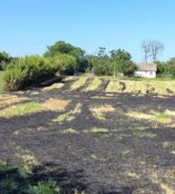 Палив траву і задихнувся: обставини загибелі чоловіка на Полтавщині