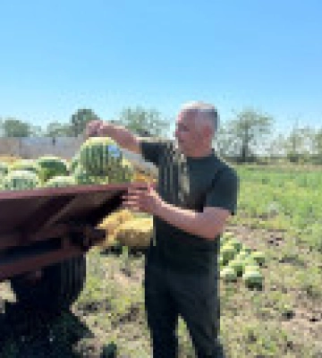 Очільник Одеської ОВА Кіпер зібрав перші одеські кавуни