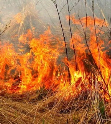 На Кіровоградщині сталося понад 1000 пожеж