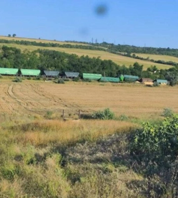 У Молдові зійшли з рейок вагони з українським зерном: поїзд прямував у порт Рені