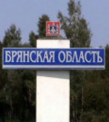 Росіяни заявляють, що над брянською областю знищили два безпілотники