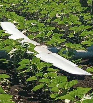 Над Дніпропетровщиною знищили безпілотник &quot;Орлан-10&quot;