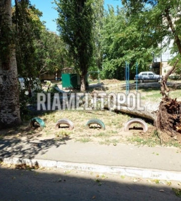 В Мелитополе из-за непогоды начался деревопад (фото, видео)