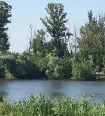 На Київщині у суботу двоє людей потонули під час купання (фото, відео)