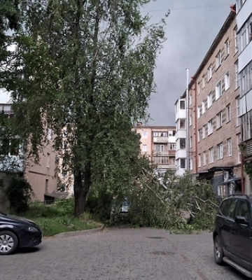 Луцьк раптово накрила потужна злива: буревій повалив дерева 