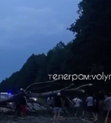 На трасі Ковель – Маневичі на авто впало дерево – є постраждалі (відео)
