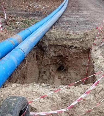 У Миколаєві планують прокладати траншеї під час реконструкції водогону між деревами, щоб не зносити їх