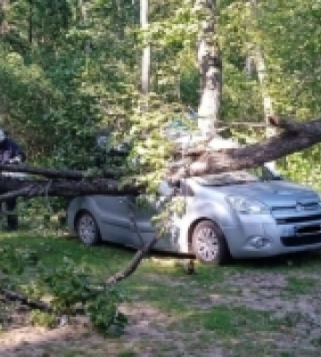 На Рівненщині буревій повалив дерево на авто відпочивальників
