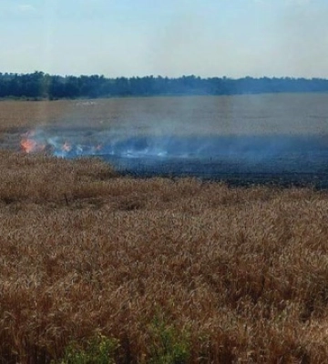 Росіяни вдарили по Дніпропетровщині - загорілися пшеничні поля