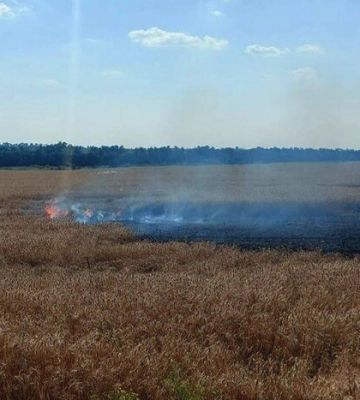 Росіяни вдарили по Дніпропетровщині - загорілися пшеничні поля