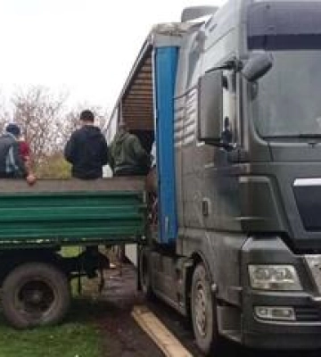 На Полтавщині судитимуть "чорних лісорубів"