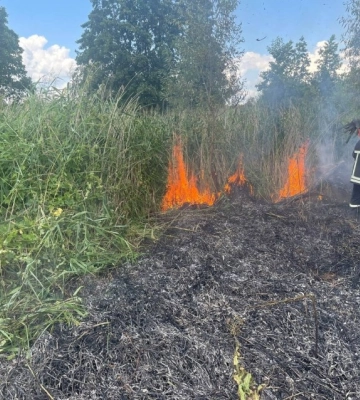 Рятувальники загасили 18 пожеж в екосистемі Кіровоградщини