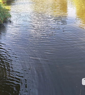 У водоймищах Дніпропетровщини виявили холероподібний вібріон: що це означає