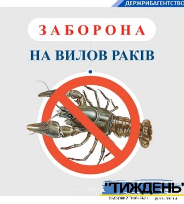 Встановлена заборона на лов раків!